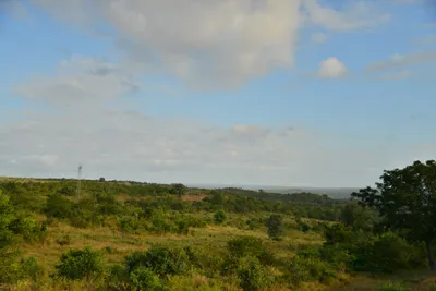 DSC_4349 (Large).JPG